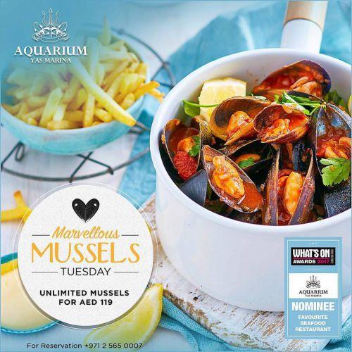 MARVELLOUS MUSSELS