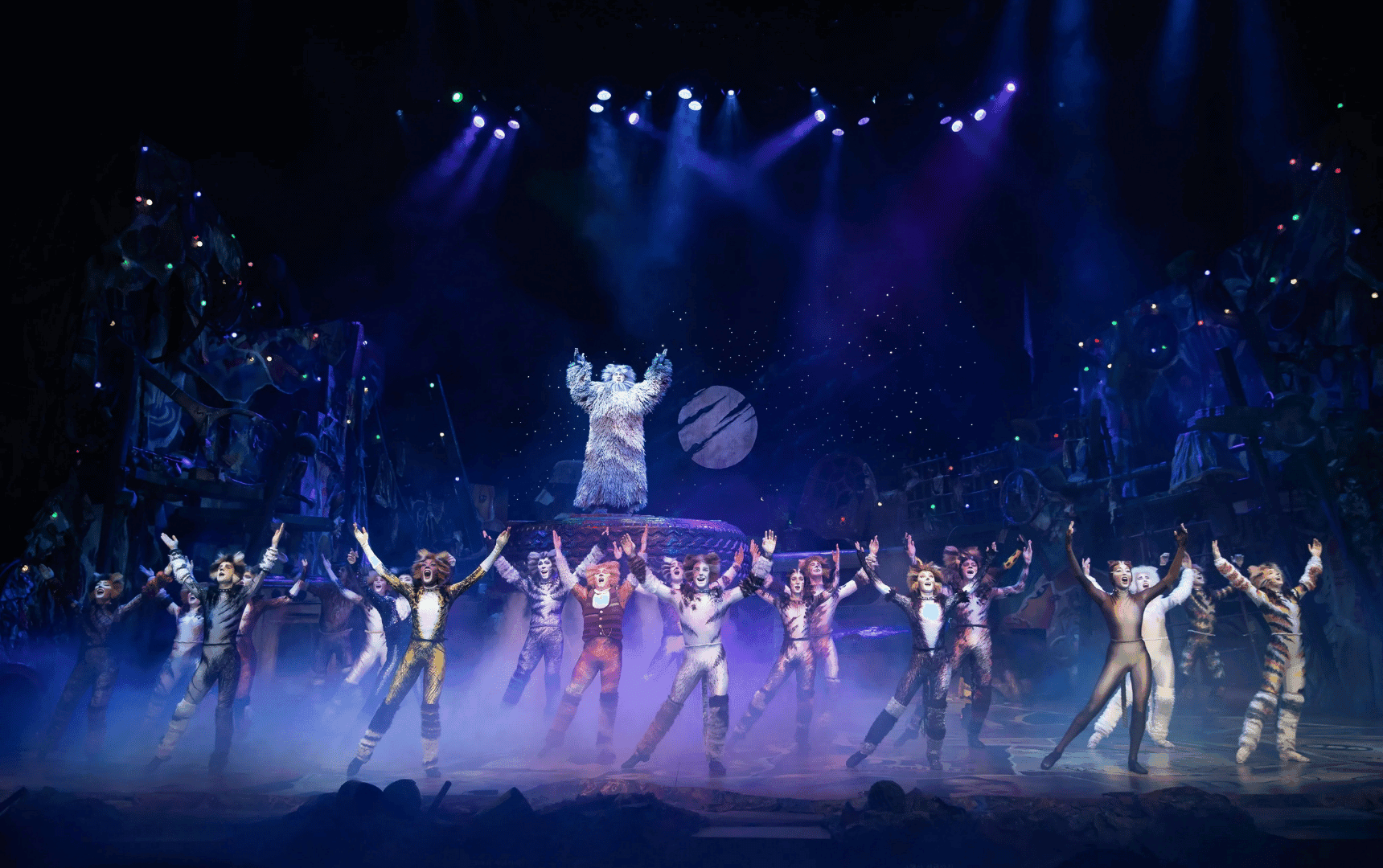 CATS the Musical to Make Its Abu Dhabi Debut at Etihad Arena in May 2026