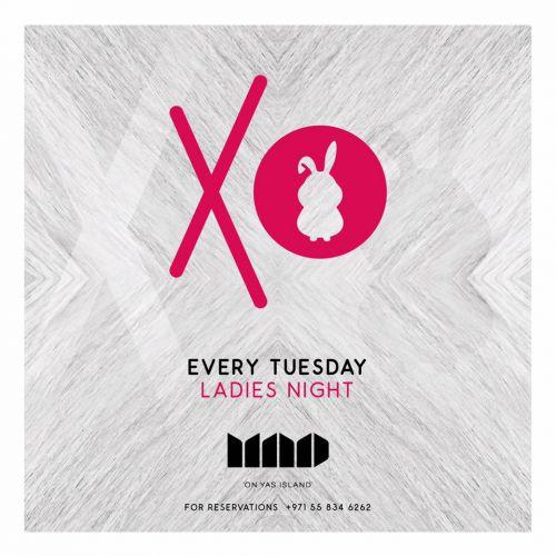 XO Tuesday