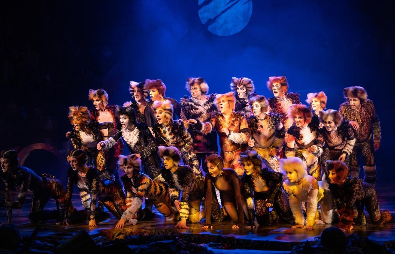 CATS the Musical to Make Its Abu Dhabi Debut at Etihad Arena in May 2026